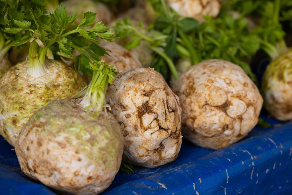 celeriac, celery roots, knob celery